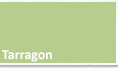 Tarragon