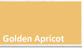 Golden Apricot