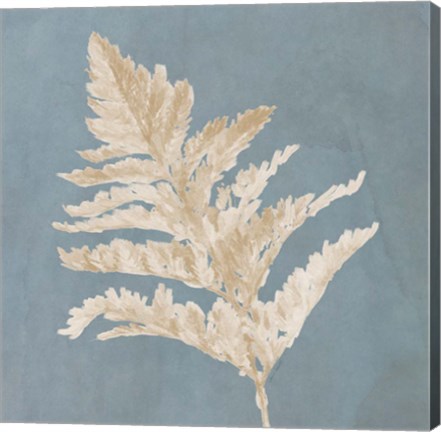 Framed Tan Leaf on Blue Square II Print
