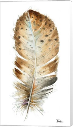 Framed White Watercolor Feather II Print