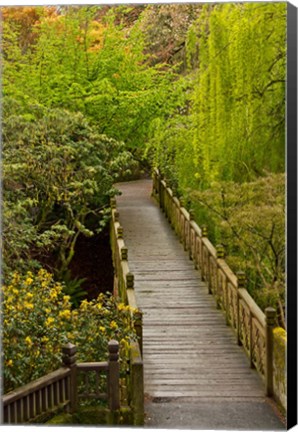 Framed Bridge At Crystal Springs Rhododendron Garden, Portland, Oregon Print