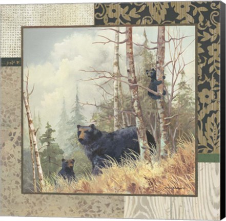 Framed Black Bears with Border Print