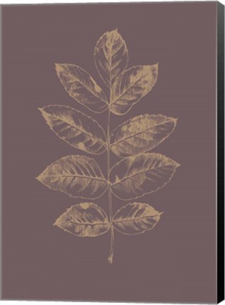Framed Botanica 2 Print