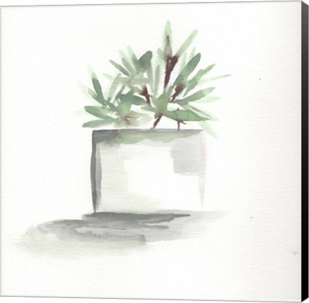 Framed Watercolor Cactus Still Life IV Print