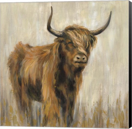 Framed Highland Mountain Cow Print