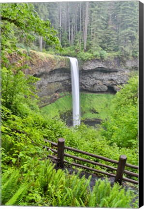 Framed Silver Falls State Park, Oregon South Falls And Trail Leading To It Print