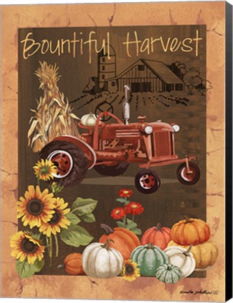 Framed Bountiful Harvest VI Print