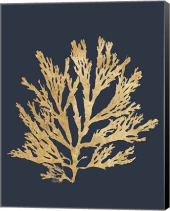 Framed Pacific Sea Mosses I Indigo Print