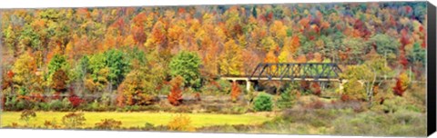 Framed Cantilever Bridge And Autumnal Trees In Forest, Central Bridge, New York State Print