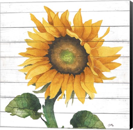 Framed Happy Sunflower II Print