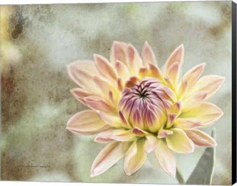 Framed Impression Flower Print