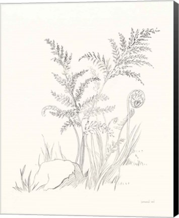 Framed Nature Sketchbook VI Print