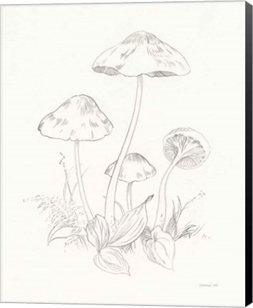 Framed Nature Sketchbook III Print