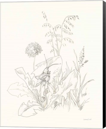 Framed Nature Sketchbook VII Print