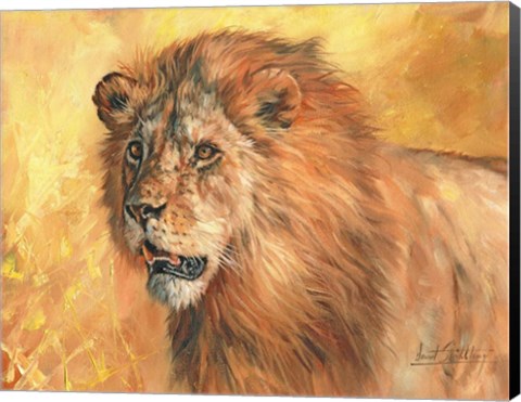 Framed Mane Lion Print