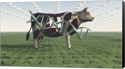 Framed GMO Business Cow Print