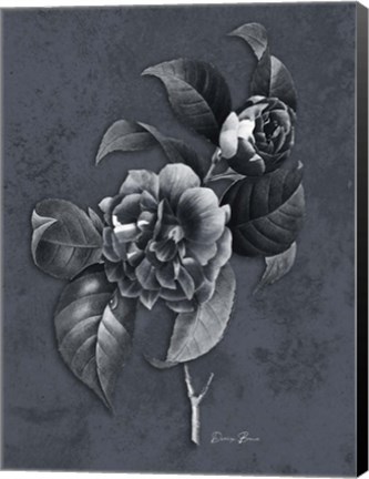 Framed Tranquil Botanical 2 Print
