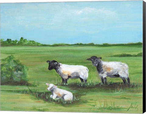 Framed Sheep Trio Print