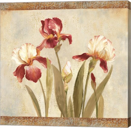 Framed Iris Tapestry II Print