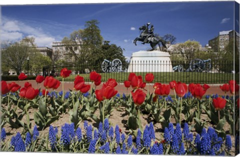 Framed Andrew Jackson Statue, Washington D.C., USA Print