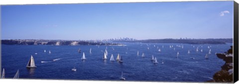 Framed Yachts in the bay, Sydney Harbor, Sydney, New South Wales, Australia Print