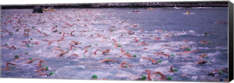 Framed Triathlon athletes swimming in water in a race, Ironman, Kailua Kona, Hawaii, USA Print