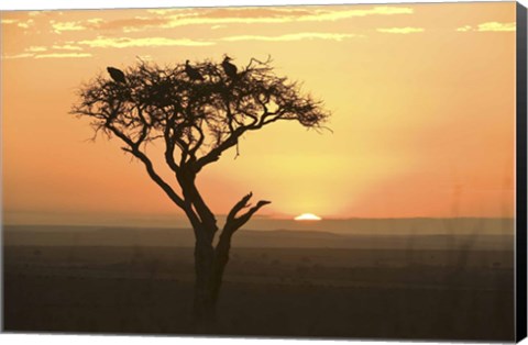 Framed Sunrise over a landscape, Kenya Print
