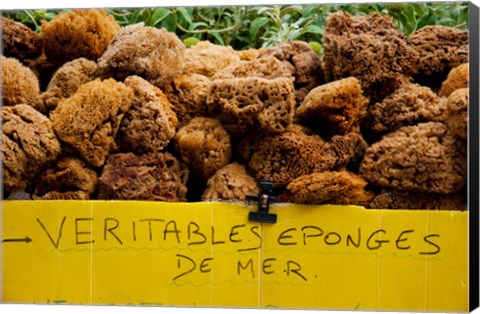 Framed Natural sponges for sale in a market, Lourmarin, Vaucluse, Provence-Alpes-Cote d&#39;Azur, France Print