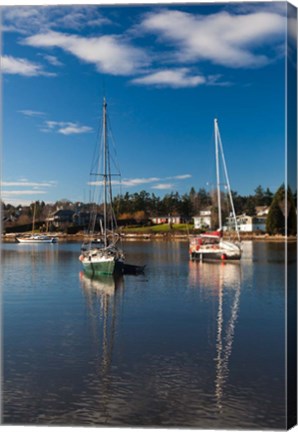Framed Comox Harbor, Vancouver Island, British Columbia, Canada Print