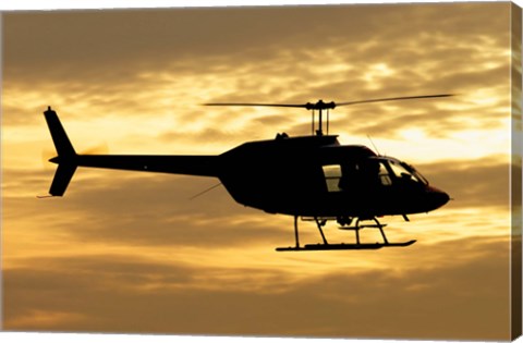Framed Bell 206 utility helicopter Print