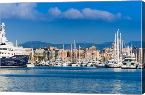 Framed Palma de Mallorca harbor, Majorca, Balearic Islands, Spain Print