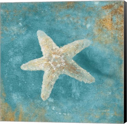 Framed Treasures from the Sea IV Aqua Print