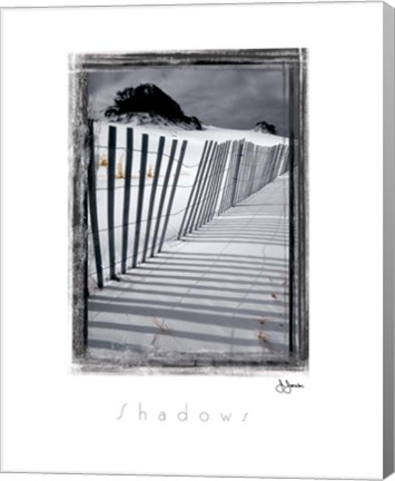 Framed Shadows Print