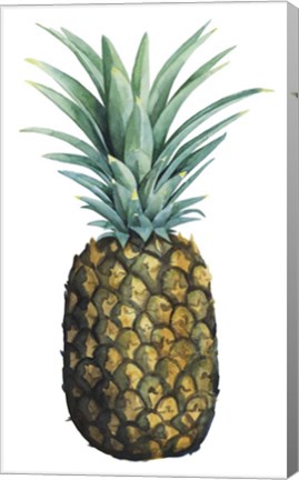 Framed Watercolor Pineapple I Print