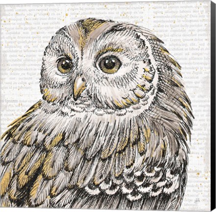 Framed Beautiful Owls I Print