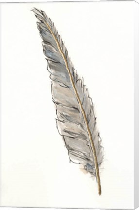 Framed Gold Feathers VI Print