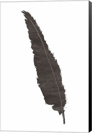 Framed Black Feather VI Print