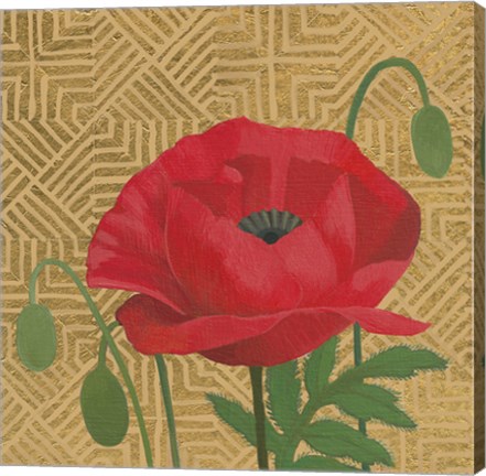 Framed Poppy with Pattern Print
