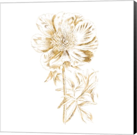 Framed Gilded Botanical VIII Sq Print