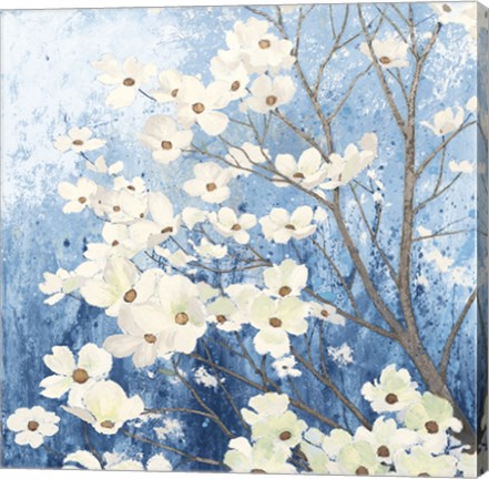 Framed Dogwood Blossoms I Indigo Print