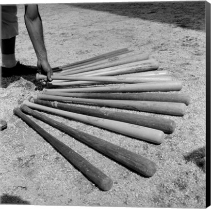 Framed 1950s Baseball Player Selecting A Variety Of Bats Print