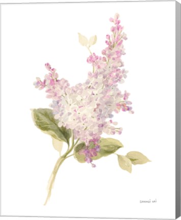 Framed Floursack Florals on White VI Print