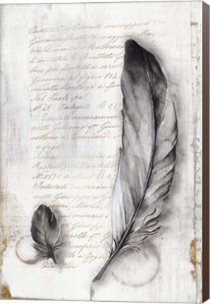 Framed Vintage Feathers II Print