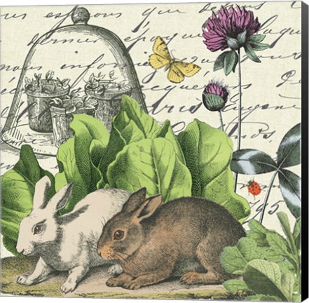 Framed Garden Rabbit II Print
