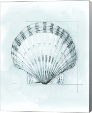 Framed Coastal Shell Schematic III Print