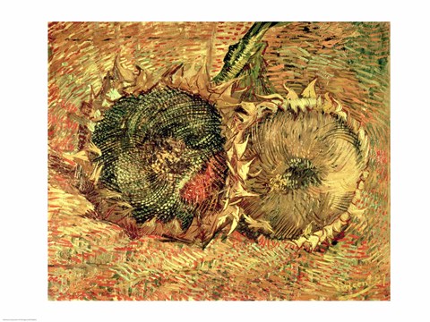 Framed Two Cut Sunflowers, 1887 Print