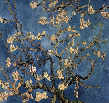 Framed Blossoming Almond Tree, Saint-Remy, c.1890 Detail Print