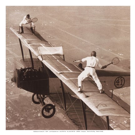 Framed Tennis on the Wing Print