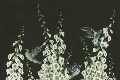 Framed Hummingbirds Print