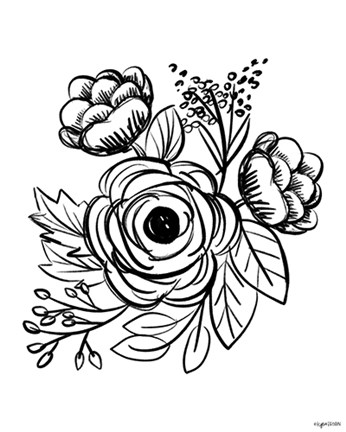 Framed Flower Sketch II Print